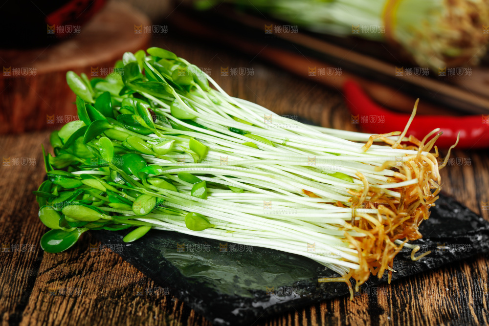 黑石板上的香椿苗