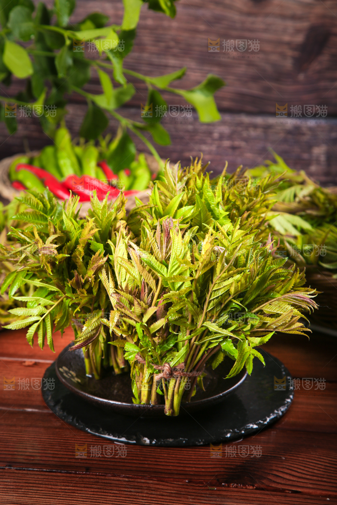 深底上放着一碗沂蒙山香椿芽