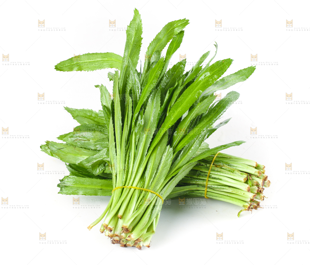 白底上的大香菜