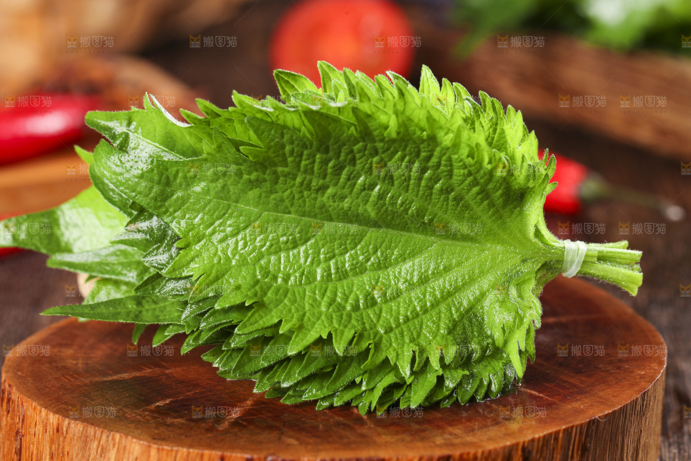 木底上的新鲜紫苏叶