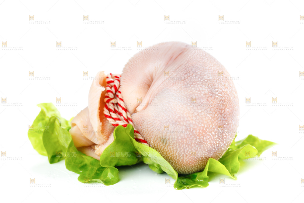 白底上的肚包肉