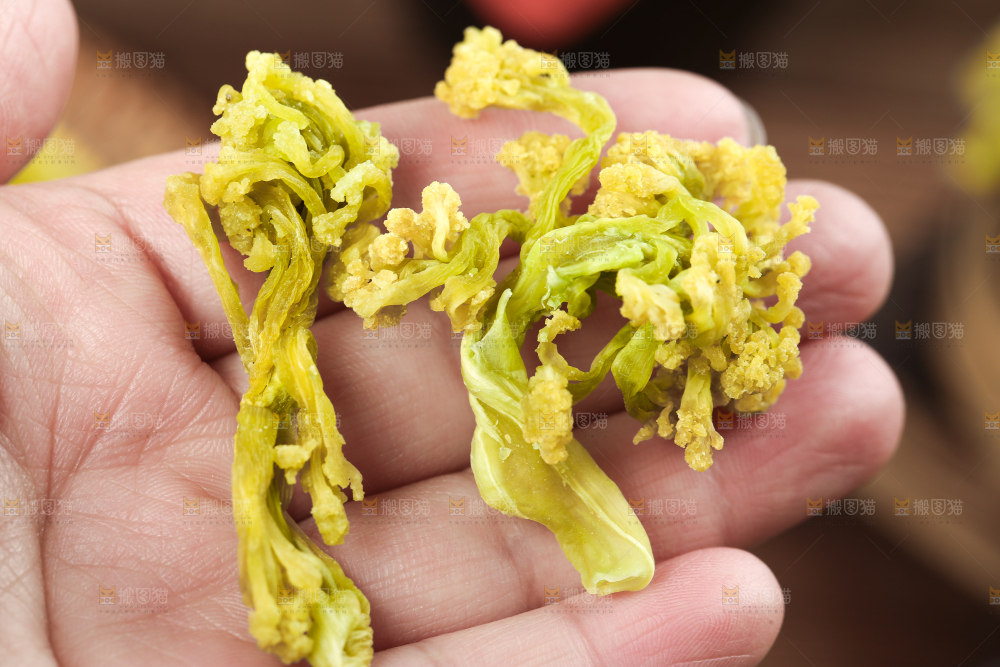 手拿干花菜