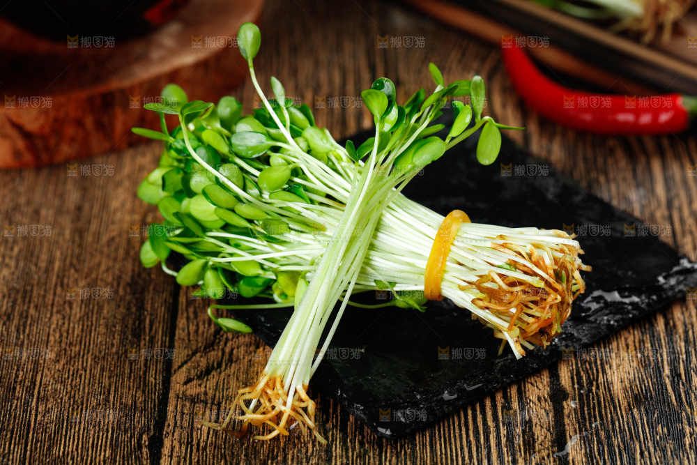 黑石板上的香椿苗