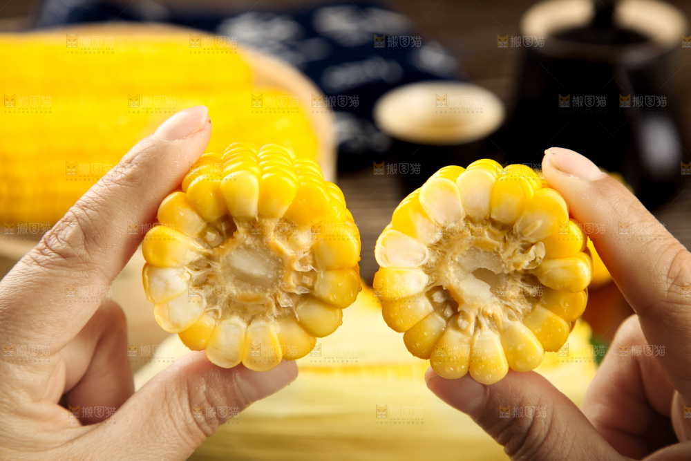 手里拿着新鲜玉米