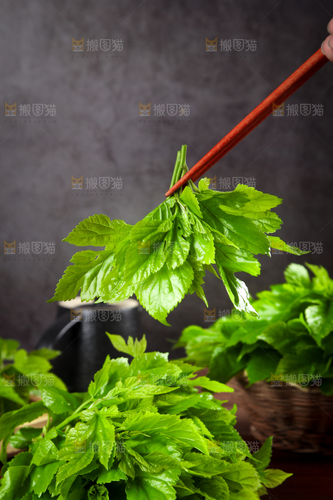 筷子夹着桑叶