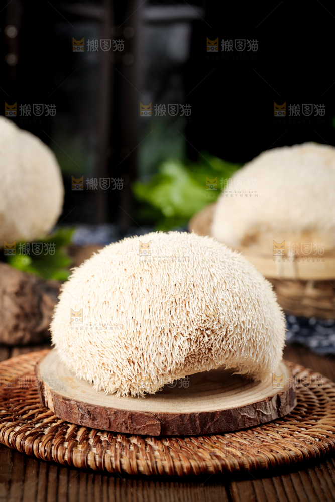 竹底上的云南新鲜猴头菇