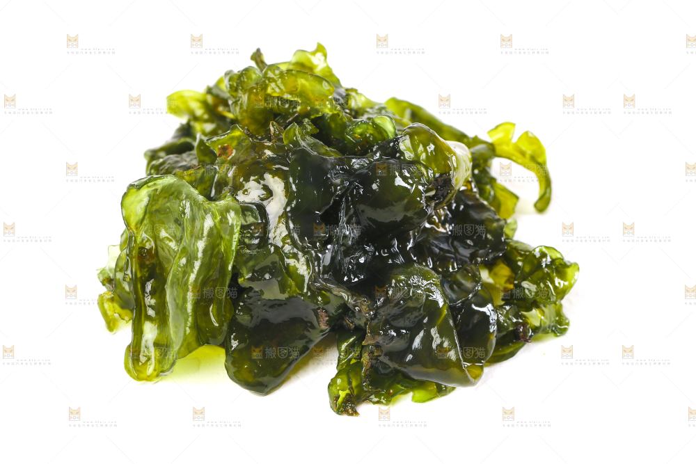 白底上的地皮菜
