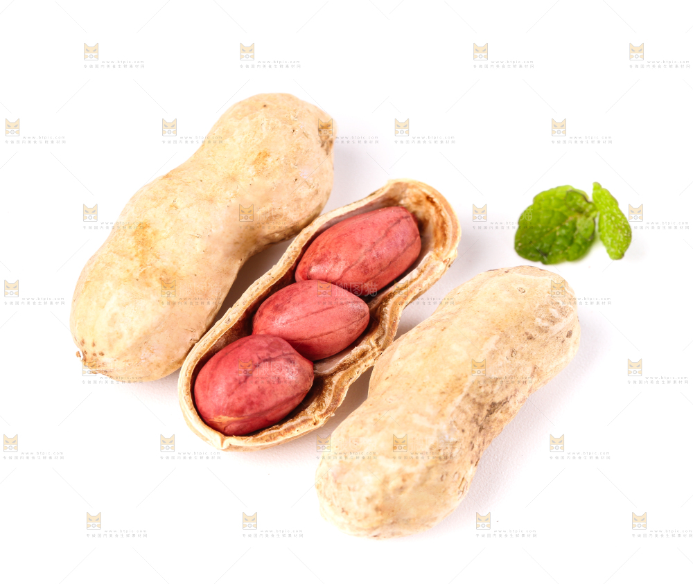 东北红皮花生放在白底上