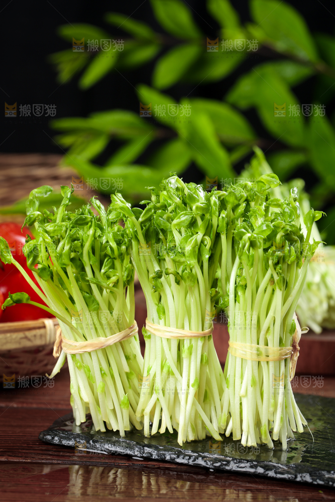 黑石板上的豌豆芽苗菜