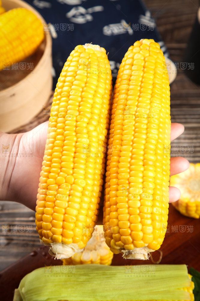 手里拿着新鲜玉米