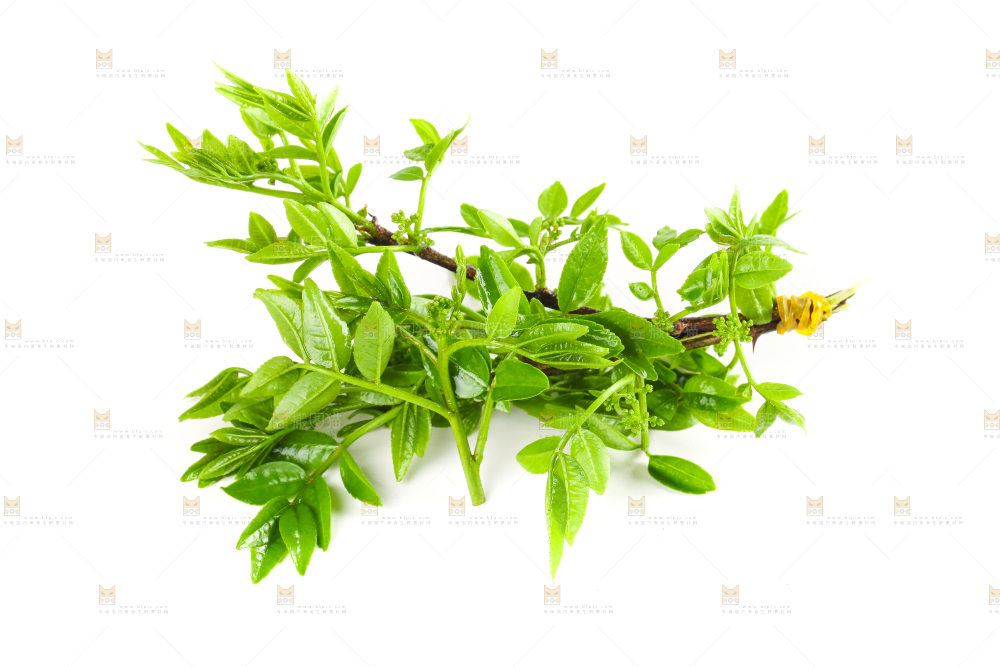 白底上放着花椒芽