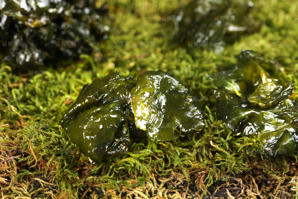草地上放着地达菜