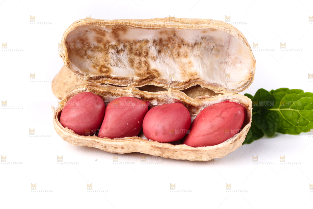 白底上的红衣花生