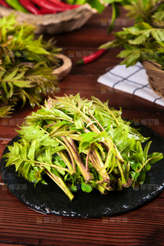黑石板上的山东香椿芽