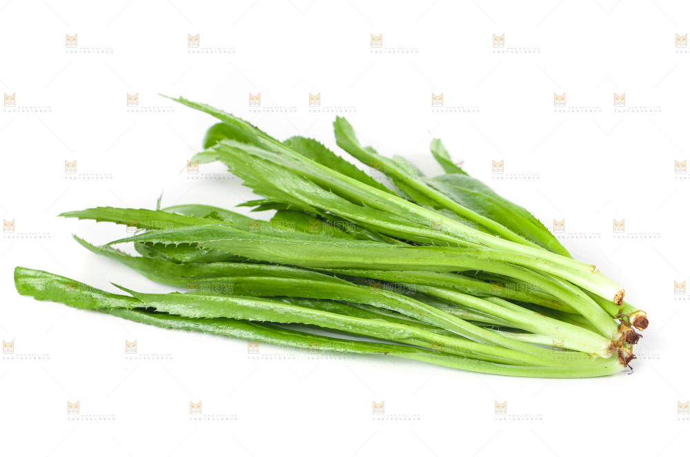 白底上的大香菜