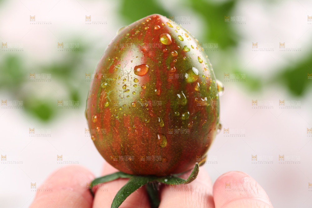 手拿迷彩小番茄