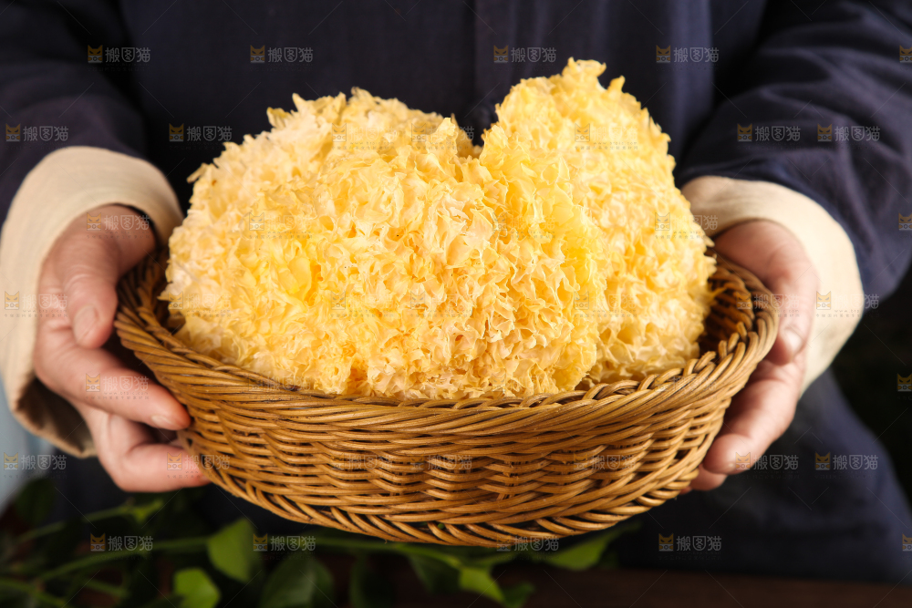 手拿一筐银耳