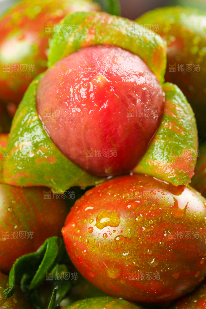 深底上剥皮的迷彩小番茄