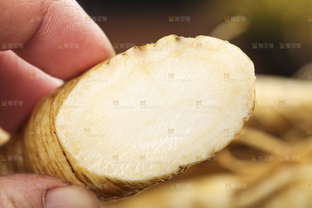 手拿切开的人参