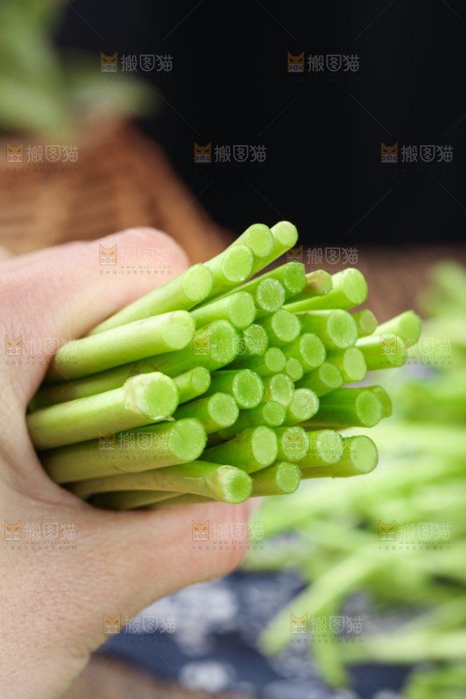 手拿藜蒿