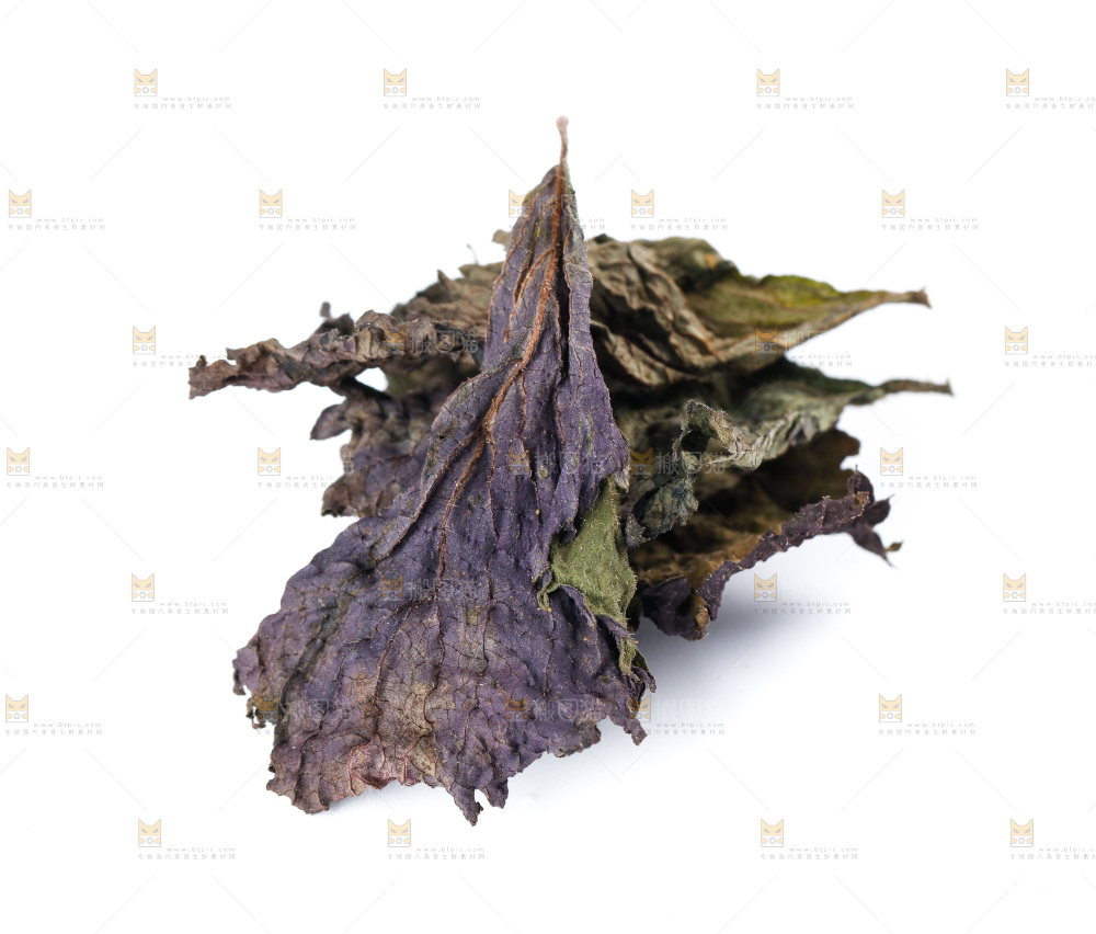 白底上的紫苏叶干