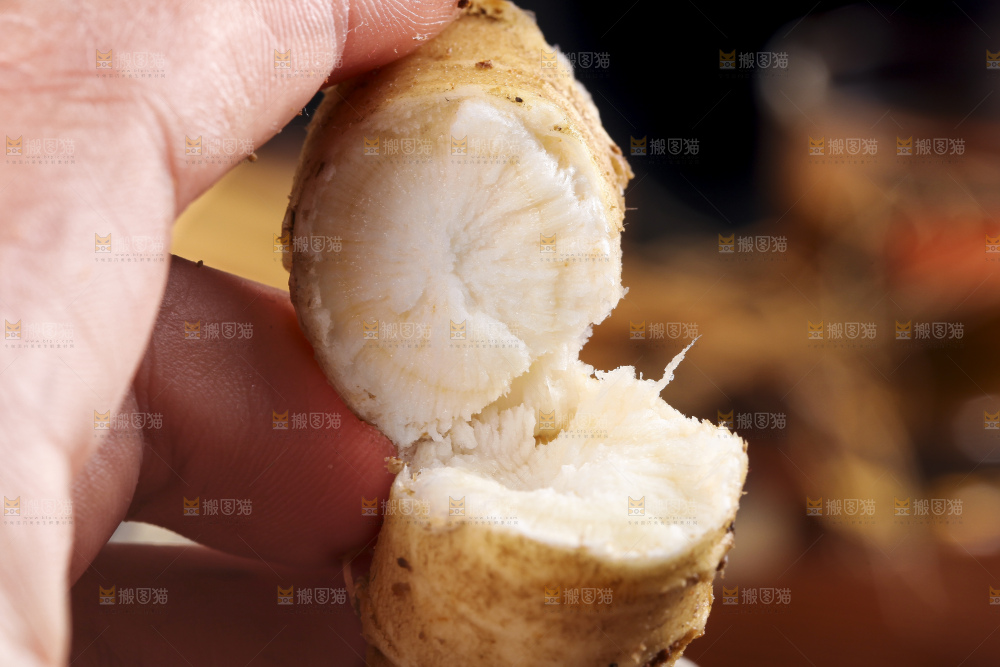 手拿掰开的人参