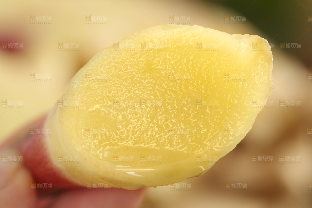 手里拿着红芽姜