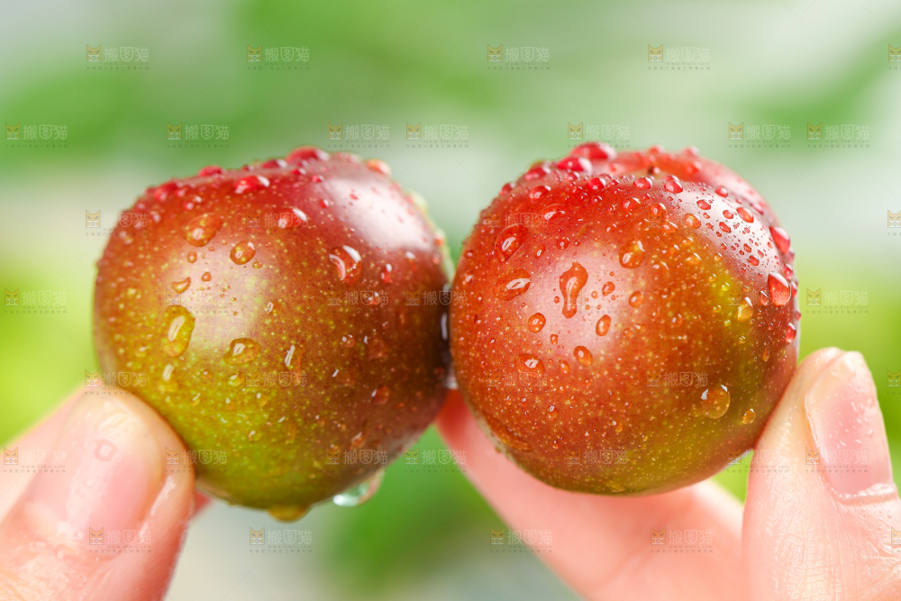 手里拿着脆红李