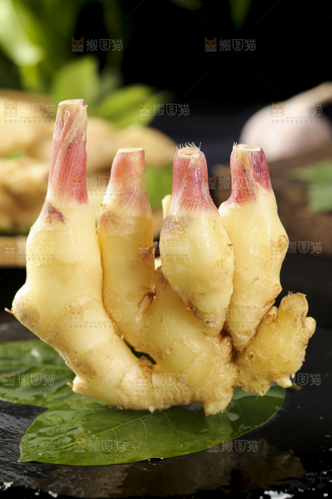 红芽嫩姜