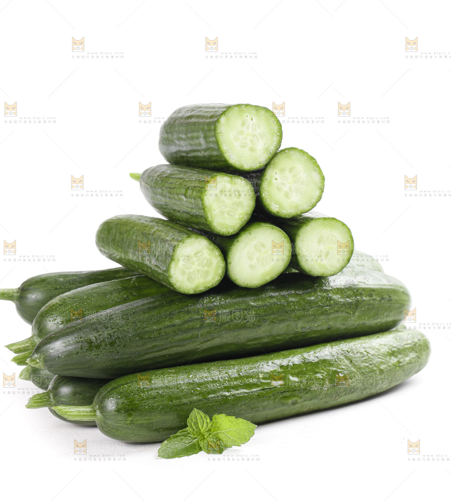 白底上的山东水果黄瓜