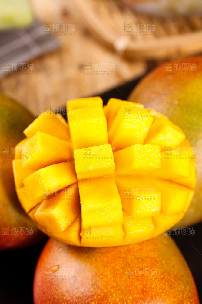 石板上的四川吉禄芒