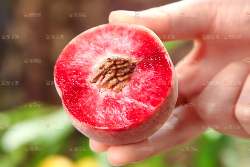 手里拿着毛桃