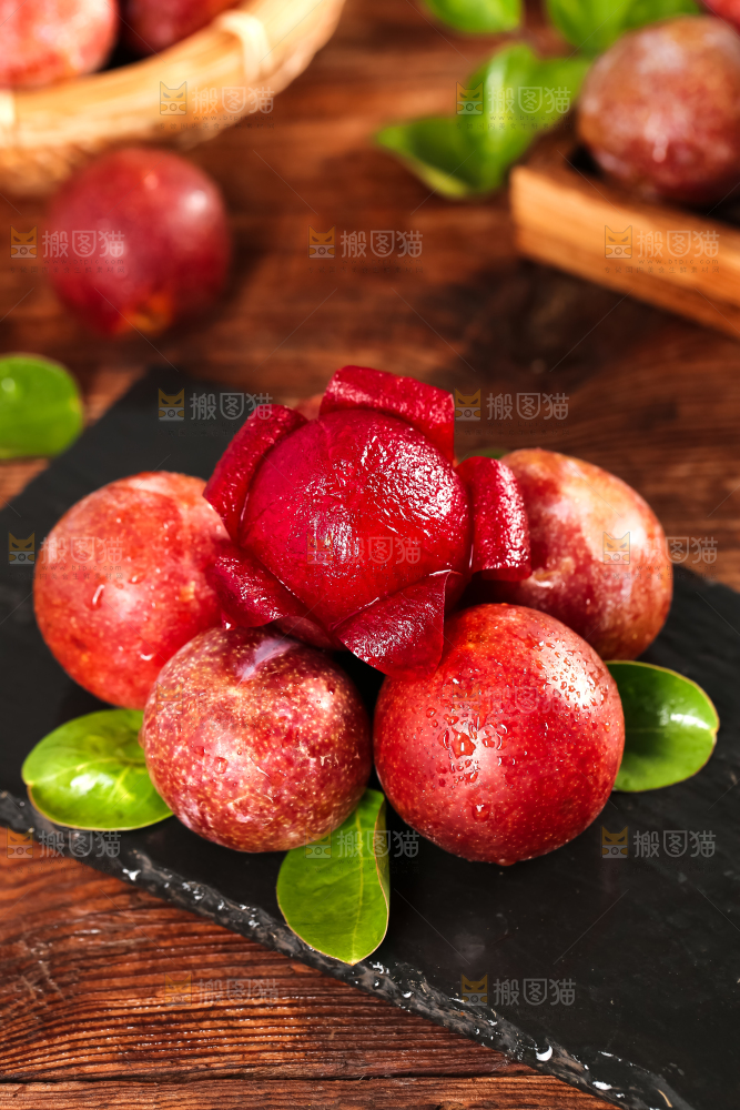 石板上的芙蓉李