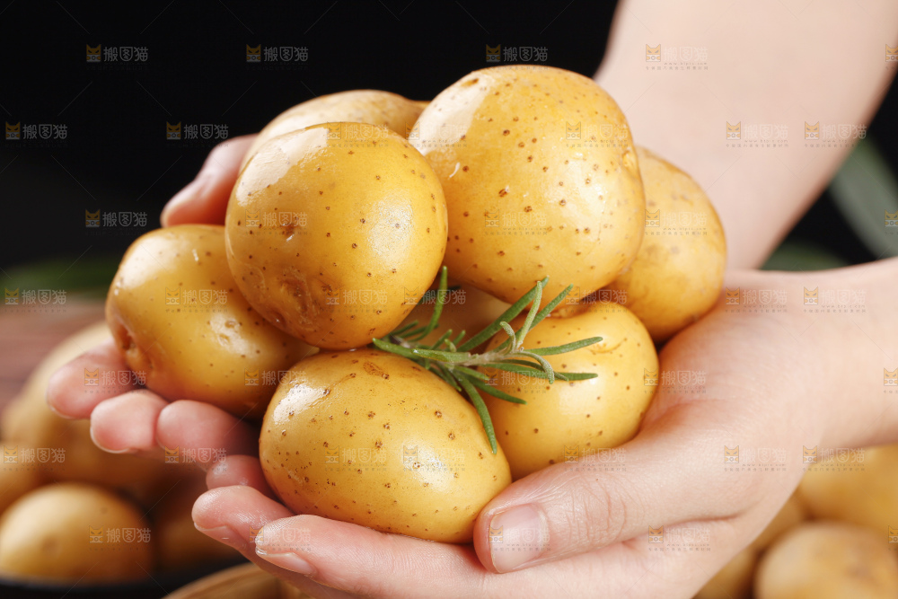 手里拿着迷你小土豆