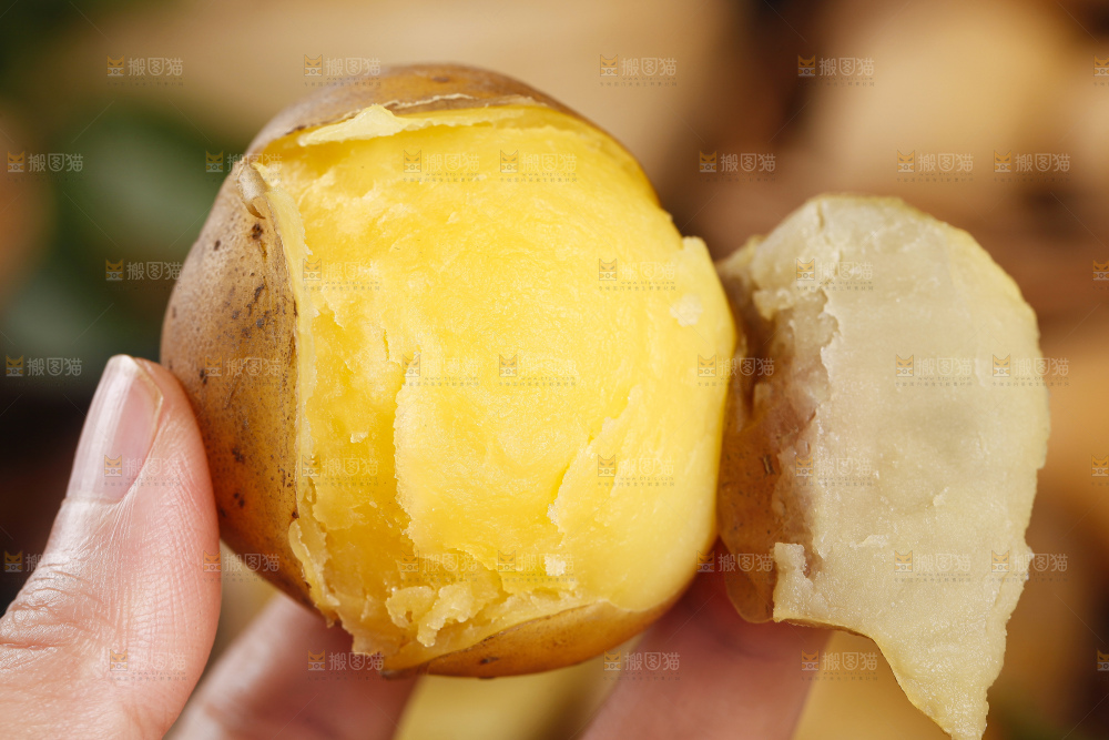 手里拿着迷你小土豆