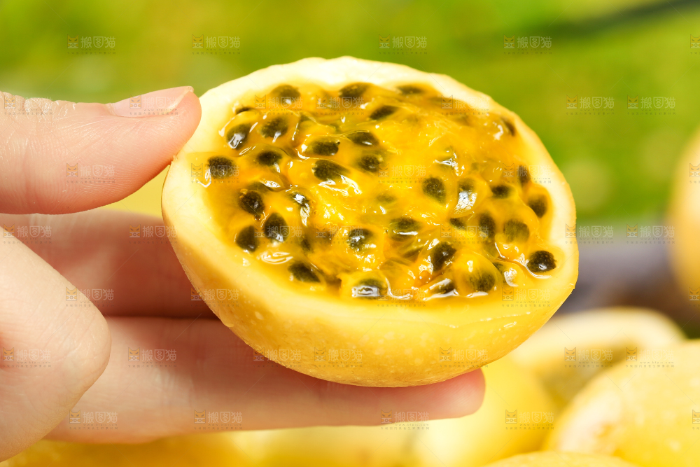 黄金百香果