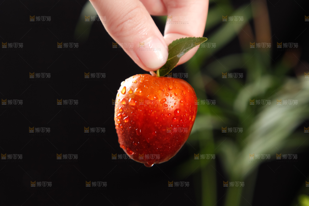 手里拿着沾化冬枣
