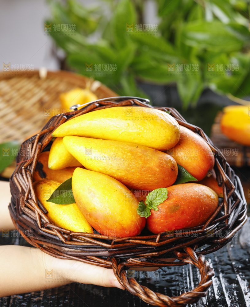 篮子里放着小芒果