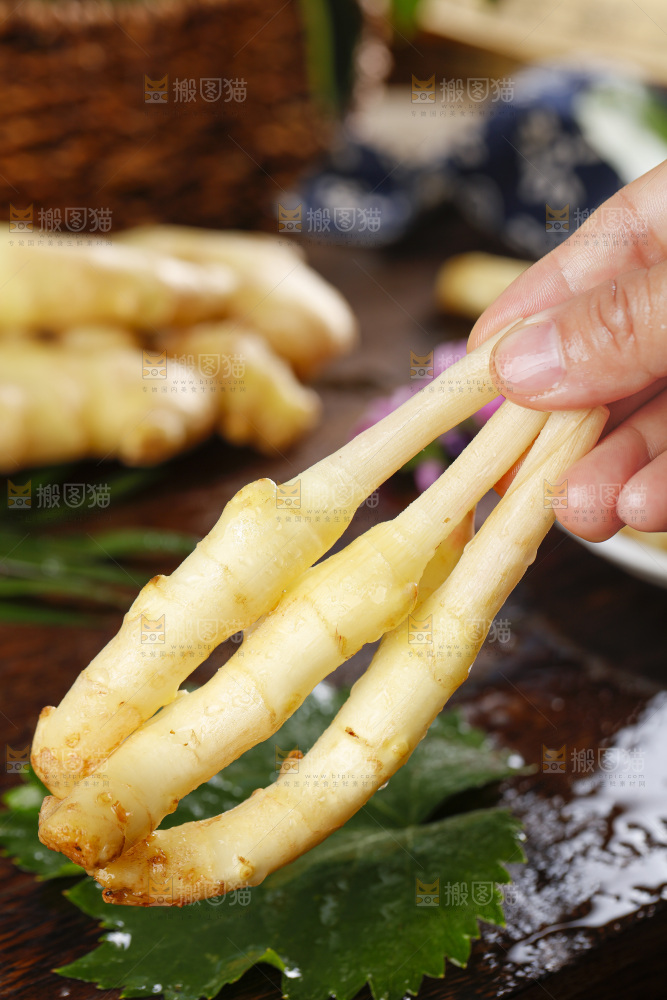 手里拿着四川生姜