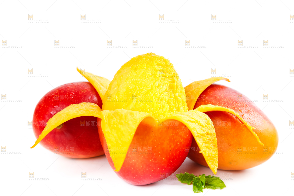 白底上的爱文芒