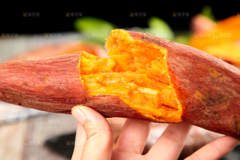 西瓜红蜜薯