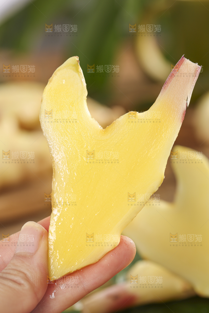 手里拿着红芽姜