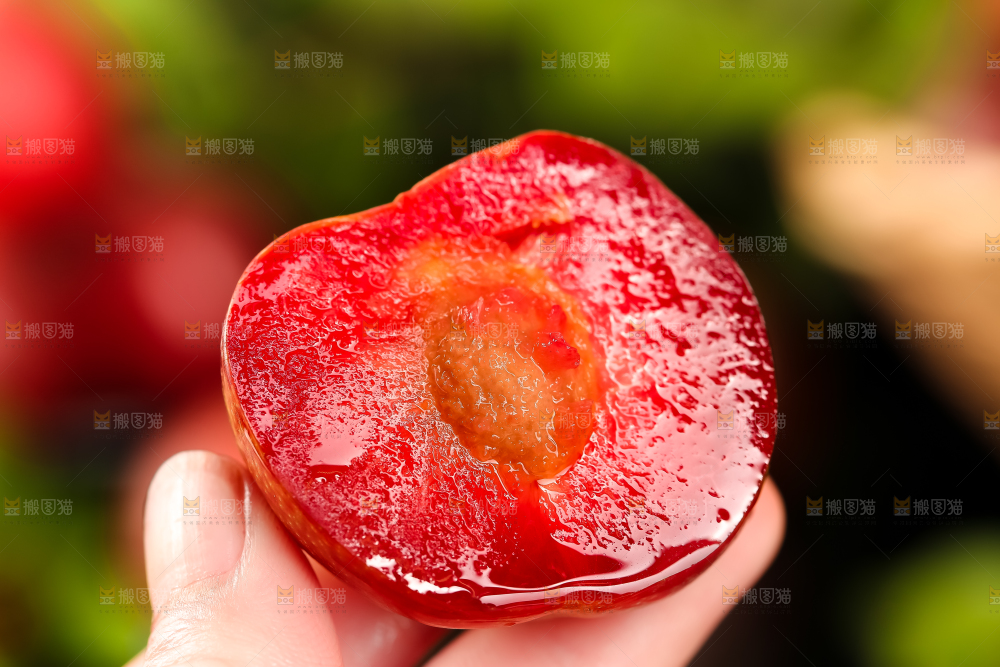 手里拿着红心李