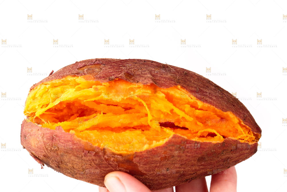 西瓜红蜜薯
