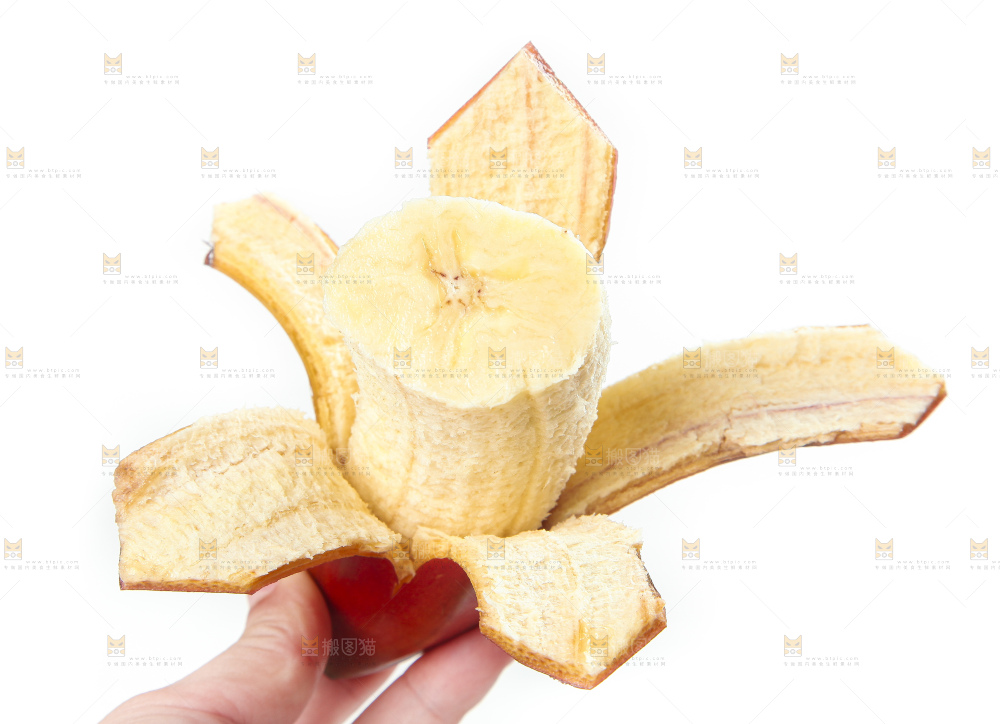 白底上的红皮美人蕉