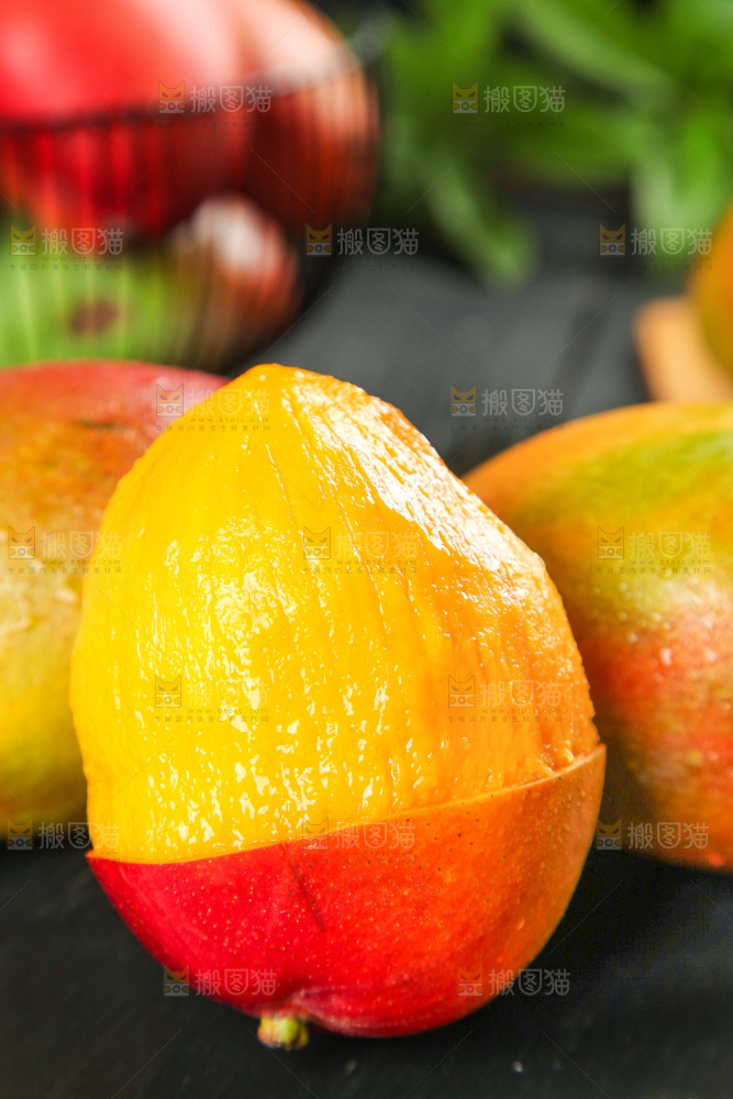 黑石板上的四川吉禄芒