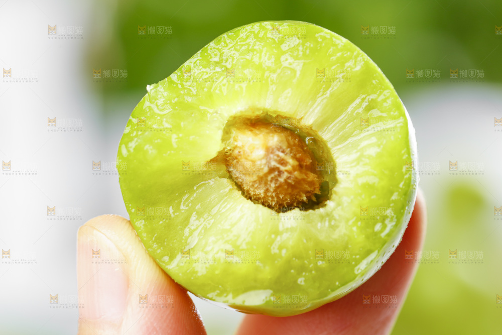 亮底上放着脱骨李