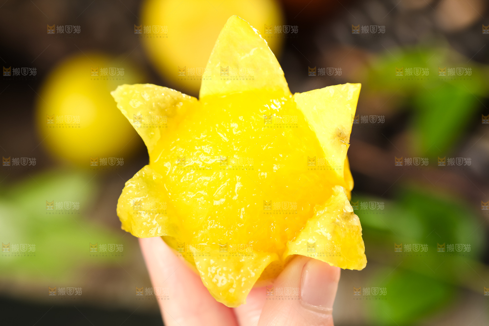 手里拿着黄金奈李