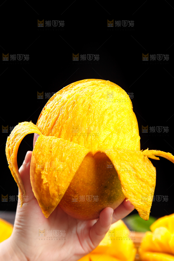 手里拿着四川吉禄芒