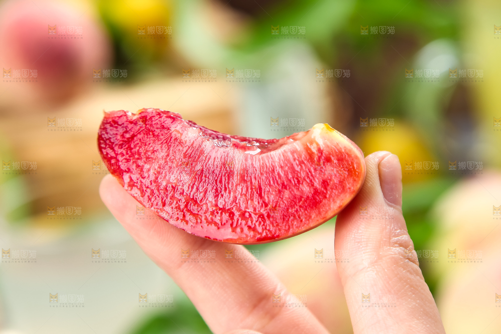 手上拿着湖北胭脂红桃子